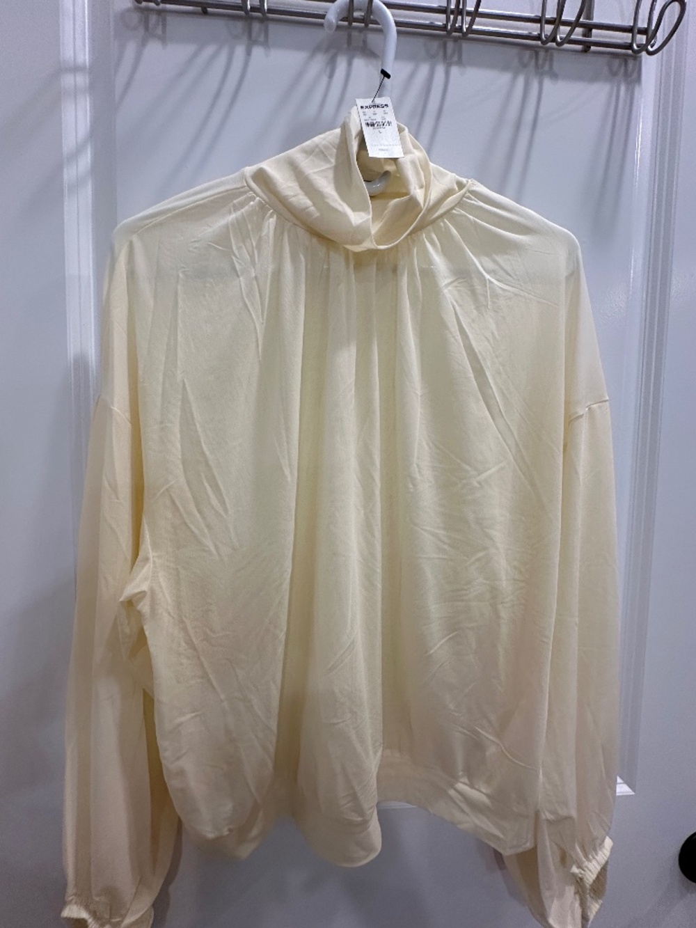 NWT Express sheer mock neck top